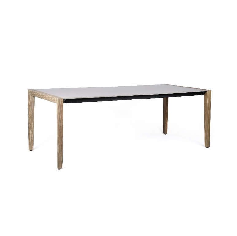Eucalyptus - H01023