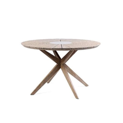 [H01027] Eucalyptus - H01027