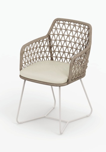 [outdoor_47] Scaly Dining Chair